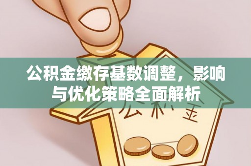 达仁公积金缴存基数调整，影响与优化策略全面解析