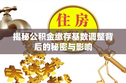 达仁揭秘公积金缴存基数调整背后的秘密与影响