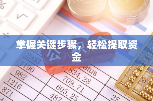 达仁掌握关键步骤，轻松提取资金