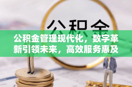 达仁公积金管理现代化，数字革新引领未来，高效服务惠及民生