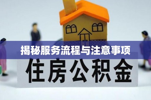 达仁揭秘服务流程与注意事项