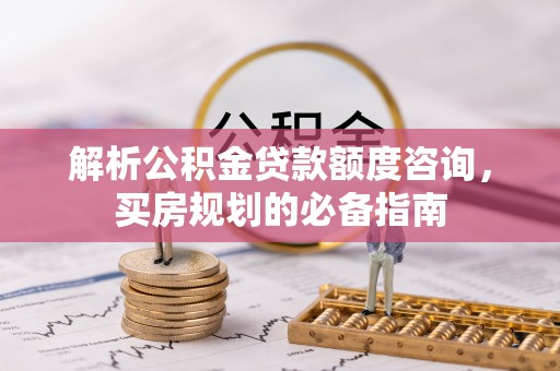 达仁解析公积金贷款额度咨询，买房规划的必备指南