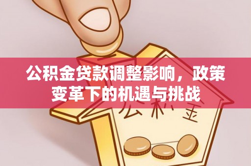 达仁公积金贷款调整影响，政策变革下的机遇与挑战