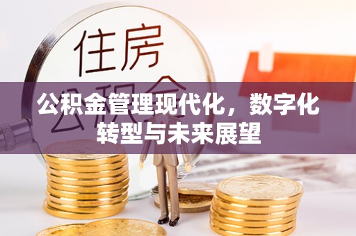 达仁公积金管理现代化，数字化转型与未来展望