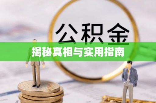 达仁揭秘真相与实用指南