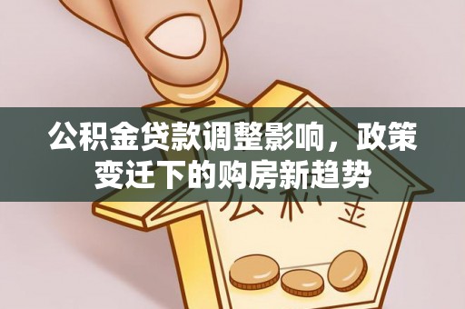 达仁公积金贷款调整影响，政策变迁下的购房新趋势