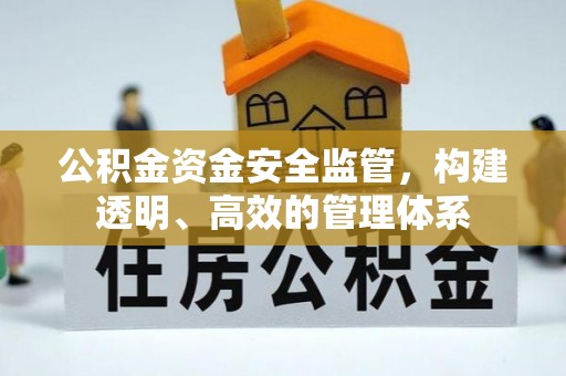 达仁公积金资金安全监管，构建透明、高效的管理体系