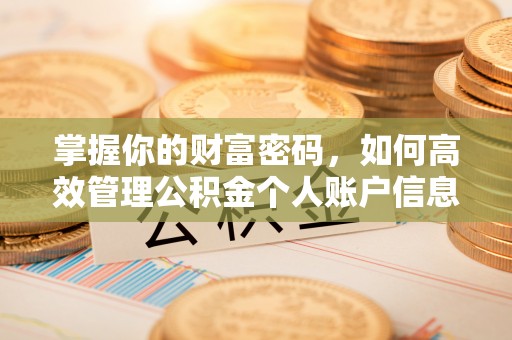 达仁掌握你的财富密码，如何高效管理公积金个人账户信息