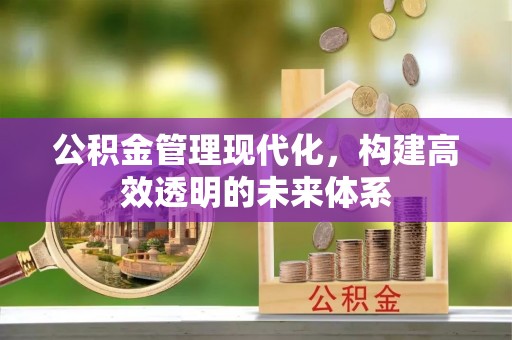 达仁公积金管理现代化，构建高效透明的未来体系