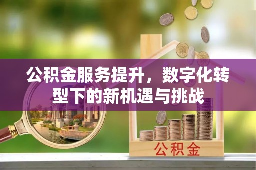 达仁公积金服务提升，数字化转型下的新机遇与挑战