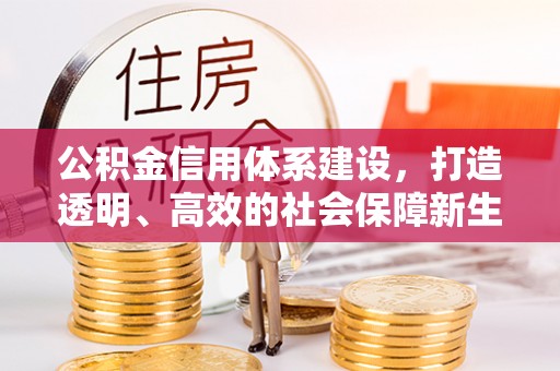 达仁公积金信用体系建设，打造透明、高效的社会保障新生态