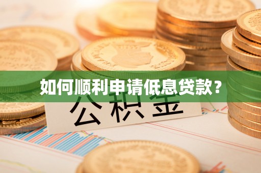 达仁如何顺利申请低息贷款？