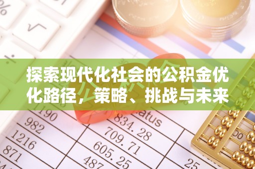 达仁探索现代化社会的公积金优化路径，策略、挑战与未来展望