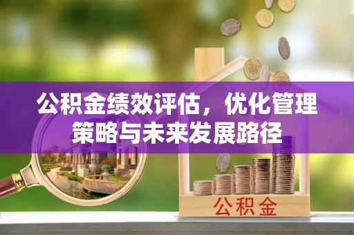 达仁公积金绩效评估，优化管理策略与未来发展路径