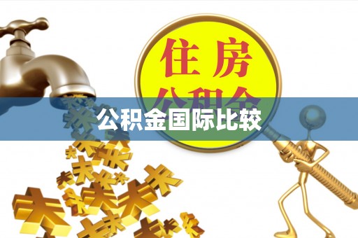 达仁公积金国际比较