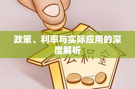 达仁政策、利率与实际应用的深度解析