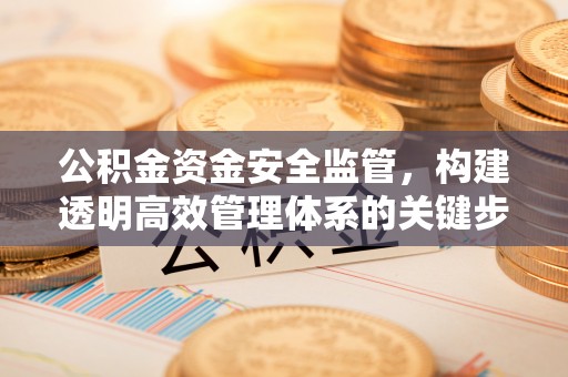 达仁公积金资金安全监管，构建透明高效管理体系的关键步骤