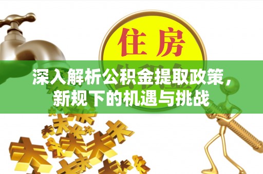 达仁深入解析公积金提取政策，新规下的机遇与挑战