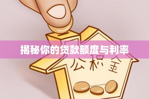 达仁揭秘你的贷款额度与利率