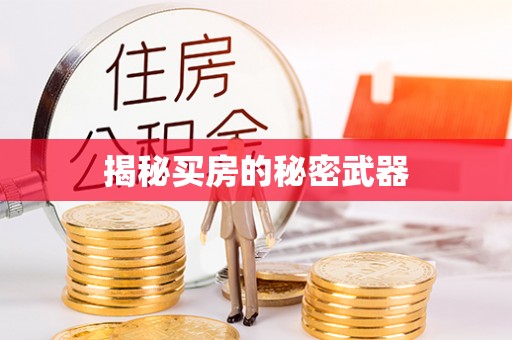 达仁揭秘买房的秘密武器