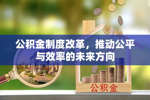 达仁公积金制度改革，推动公平与效率的未来方向