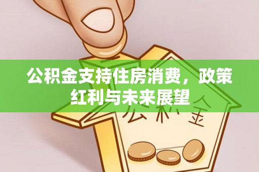 达仁公积金支持住房消费，政策红利与未来展望