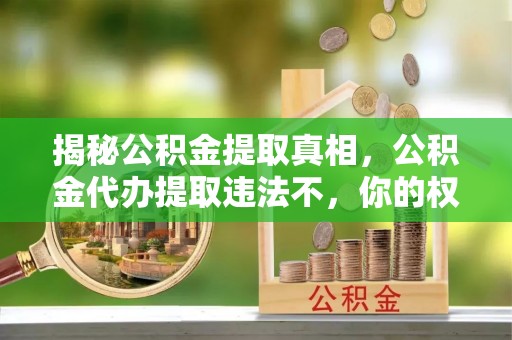 达仁揭秘公积金提取真相，公积金代办提取违法不，你的权益如何保障？
