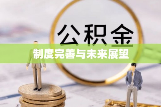达仁制度完善与未来展望
