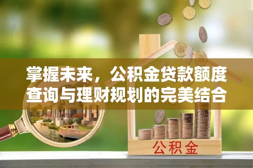 达仁掌握未来，公积金贷款额度查询与理财规划的完美结合
