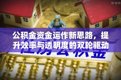 达仁公积金资金运作新思路，提升效率与透明度的双轮驱动