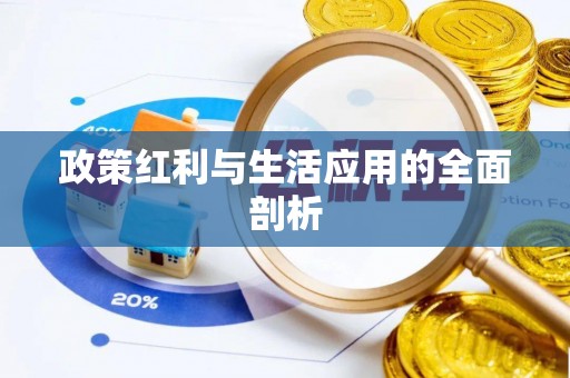 达仁政策红利与生活应用的全面剖析