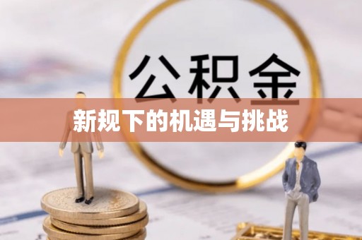达仁新规下的机遇与挑战