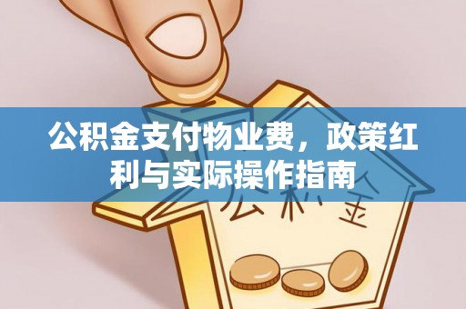达仁公积金支付物业费，政策红利与实际操作指南
