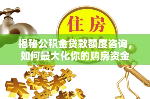 达仁揭秘公积金贷款额度咨询，如何最大化你的购房资金