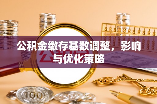 达仁公积金缴存基数调整，影响与优化策略