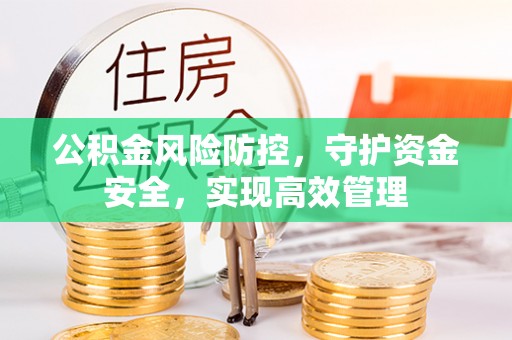 达仁公积金风险防控，守护资金安全，实现高效管理