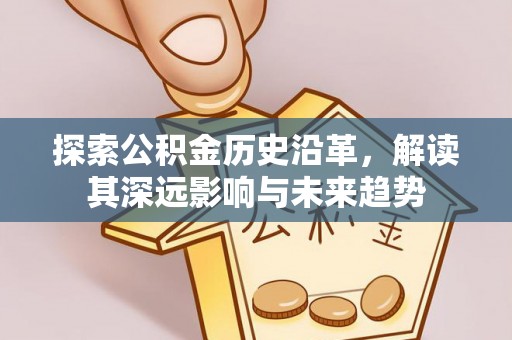达仁探索公积金历史沿革，解读其深远影响与未来趋势