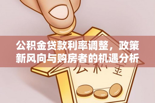 达仁公积金贷款利率调整，政策新风向与购房者的机遇分析