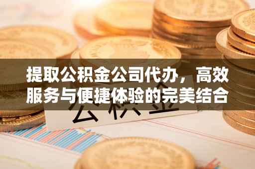 达仁提取公积金公司代办，高效服务与便捷体验的完美结合