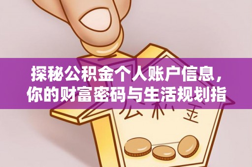 达仁探秘公积金个人账户信息，你的财富密码与生活规划指南