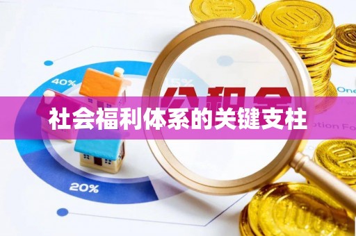 达仁社会福利体系的关键支柱
