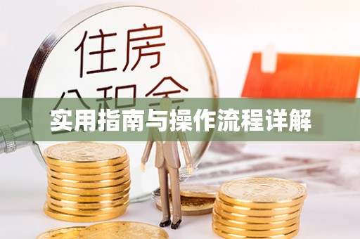 达仁实用指南与操作流程详解