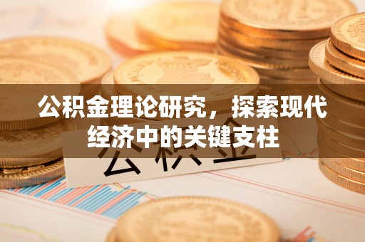 达仁公积金理论研究，探索现代经济中的关键支柱