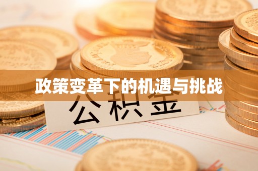 达仁政策变革下的机遇与挑战