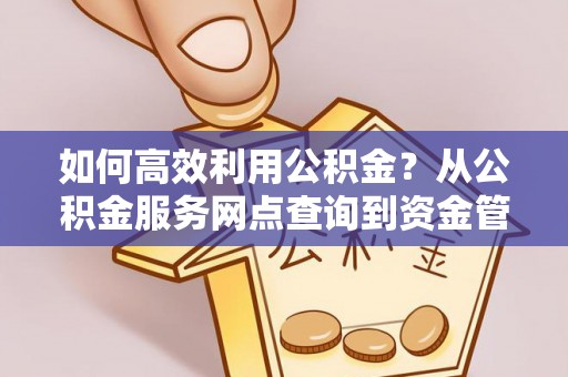 达仁如何高效利用公积金？从公积金服务网点查询到资金管理全攻略