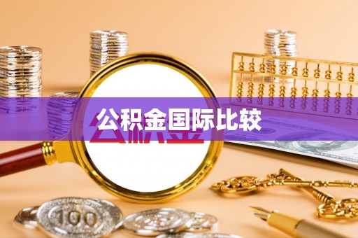 达仁公积金国际比较
