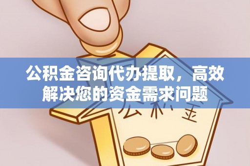 达仁公积金咨询代办提取，高效解决您的资金需求问题