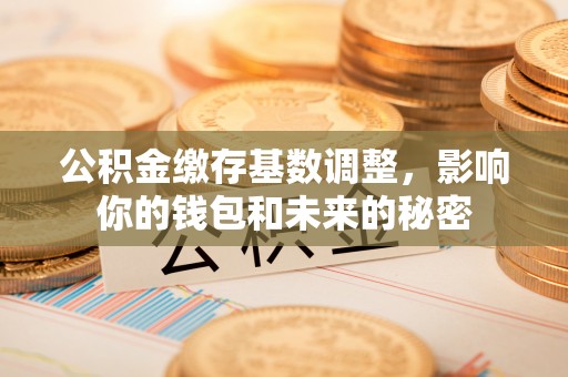 达仁公积金缴存基数调整，影响你的钱包和未来的秘密