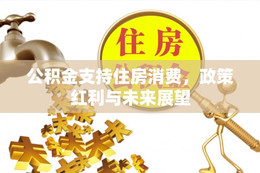 达仁公积金支持住房消费，政策红利与未来展望