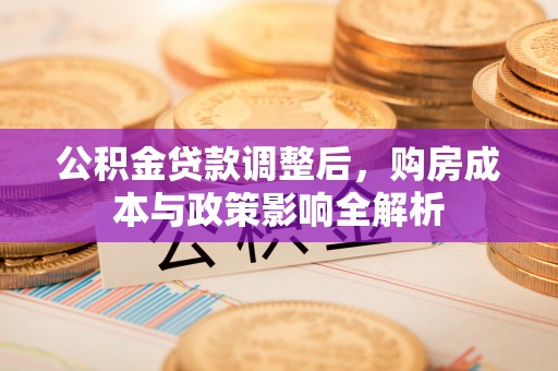 达仁公积金贷款调整后，购房成本与政策影响全解析